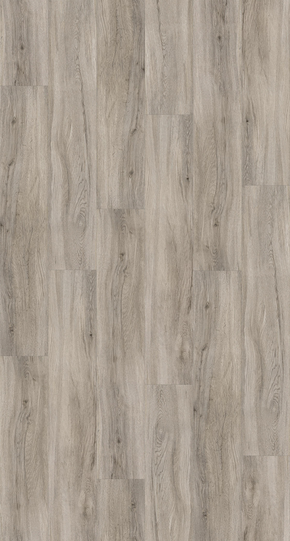 DESIGNBODEN BASIC 30 1513441  per  m² - Eichefarben/Hellgrau, Basics, Holzwerkstoff/Kunststoff (120,7/21,6/0,94cm) - Parador