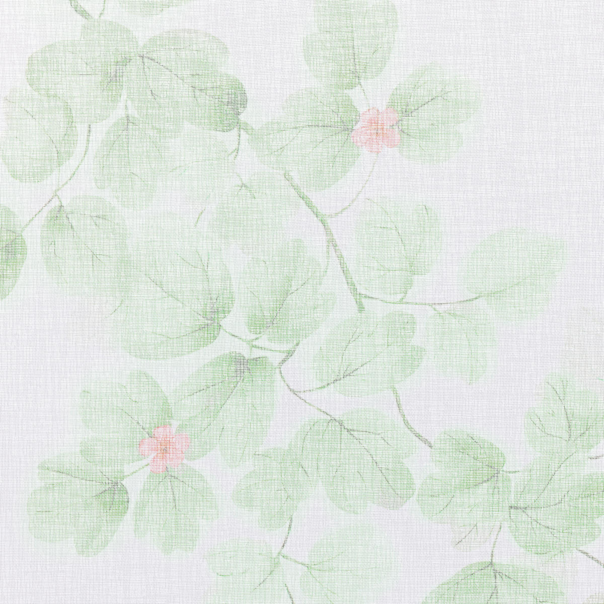 ÖSENSCHAL AIMO halbtransparent 135/245 cm   - Grün, Natur, Textil (135/245cm) - Esposa
