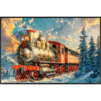 FUßMATTE 50/75 cm Snow Express  - Multicolor, Basics, Kunststoff/Textil (50/75cm) - wash+dry