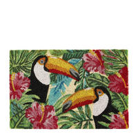 FUßMATTE 40/60 cm  - Multicolor, KONVENTIONELL, Textil (40/60cm) - Esposa