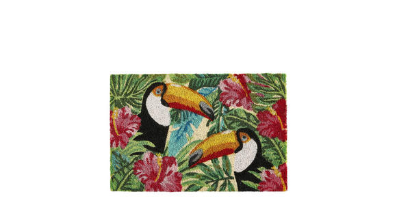 FUßMATTE  40/60 cm  Multicolor  - Multicolor, KONVENTIONELL, Textil (40/60cm) - Esposa