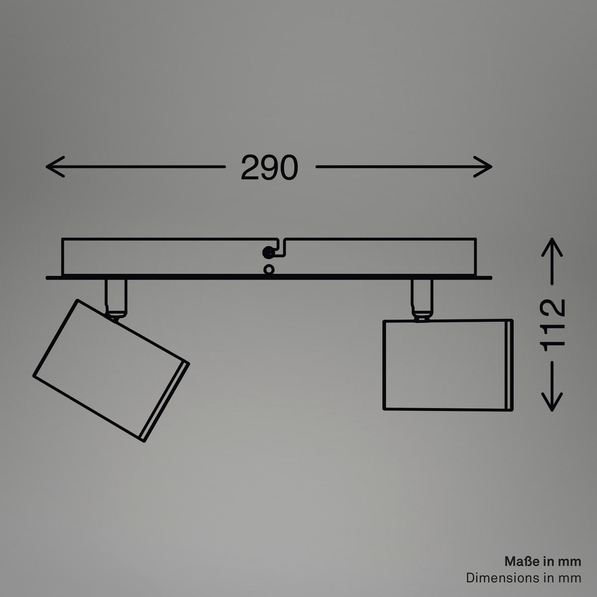 BADEZIMMER-DECKENLEUCHTE 29/9,9/11,2 cm   - Schwarz, Design, Kunststoff/Metall (29/9,9/11,2cm) - Briloner