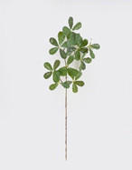 MŰNÖVÉNY - zöld, Basics, műanyag