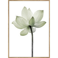 UMELECKÁ TLAČ, kvety, 51,2/71,2 cm  - viacfarebná/farba duba, Basics, kompozitné drevo (51,2/71,2cm) - Monee
