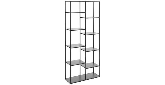 REGAL Schwarz - Schwarz, Trend, Kunststoff/Metall (80/188/30cm) - Carryhome