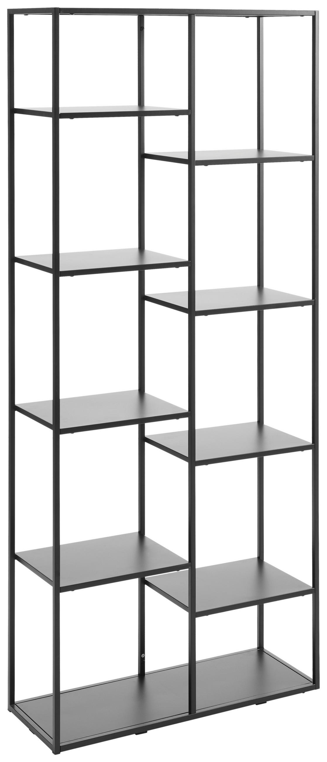 REGAL Schwarz  - Schwarz, Trend, Kunststoff/Metall (80/188/30cm) - Carryhome