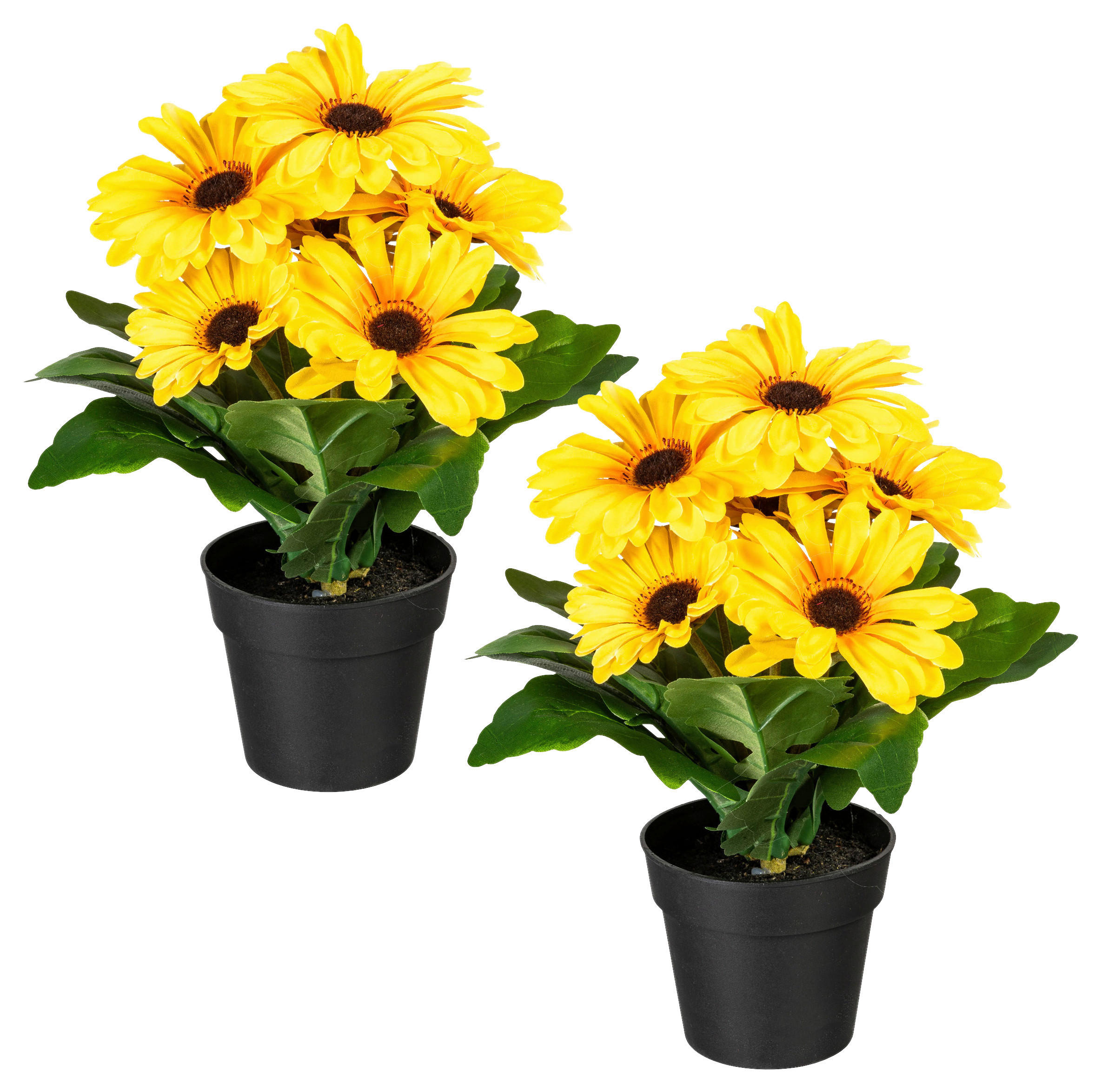 KUNSTPFLANZE Gerbera 27 cm  - Gelb/Schwarz, Design, Kunststoff (27cm) - P & B