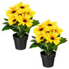 KUNSTPFLANZE Gerbera 27 cm  - Gelb/Schwarz, Design, Kunststoff (27cm) - P & B