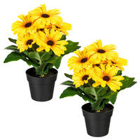 KUNSTPFLANZE Gerbera 27 cm  - Gelb/Schwarz, Design, Kunststoff (27cm) - P & B
