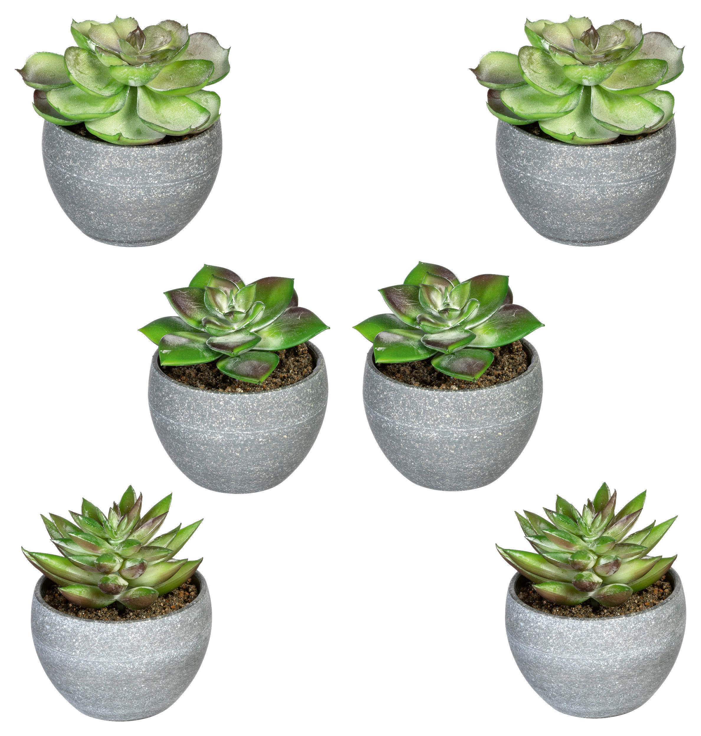 KUNSTPFLANZE Sukkulente 9 cm - Rot/Grau, Design, Kunststoff (9cm) - P & B