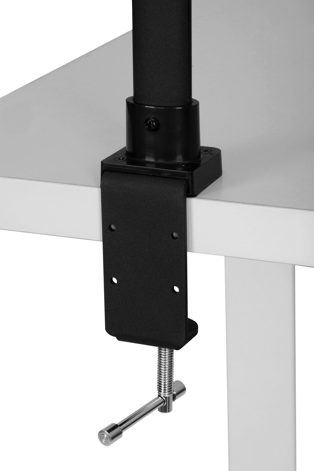 LED LAMPA SA ŠTIPALJKOM Hayward  - crna, Osnovno, metal/plastika (80/35/71,5cm) - Novel