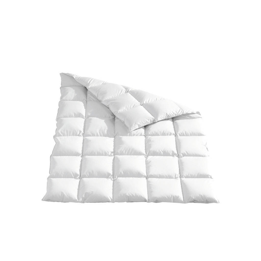 Sleeptex CELOROČNÍ PŘIKRÝVKA, 220/240 cm, peří, prachové peří