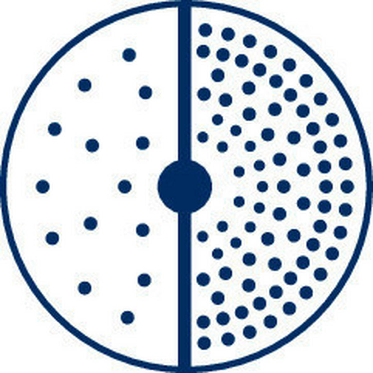 DUSCHKOPF   - Silberfarben/Weiß, Basics, Kunststoff (13cm) - Wenko