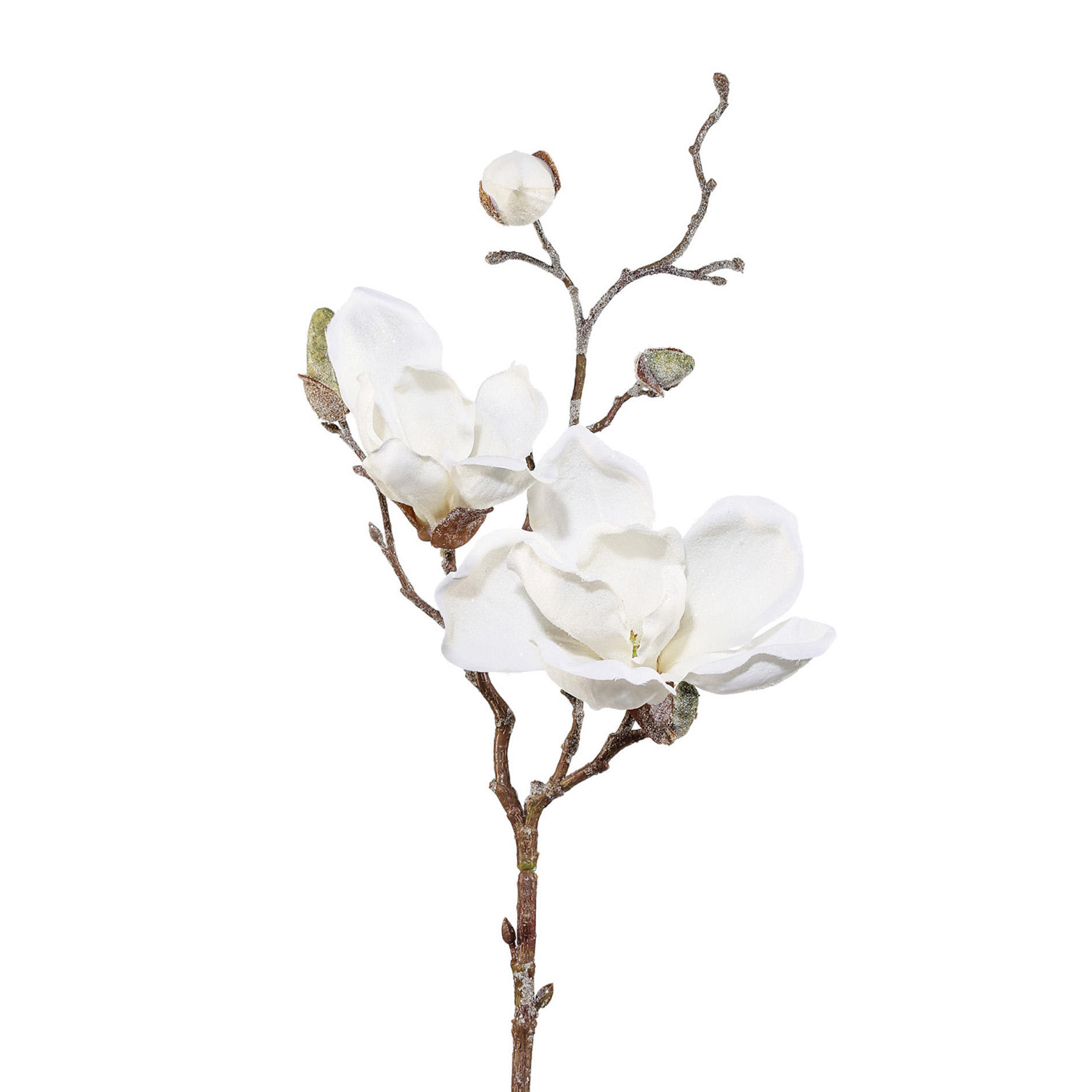 Kunstpflanze Magnolie Weiß H: 50 cm