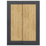 AKTENSCHRANK Hickory  - Hickory, Basics, Holzwerkstoff (160/220,5/42,6cm) - Moderano