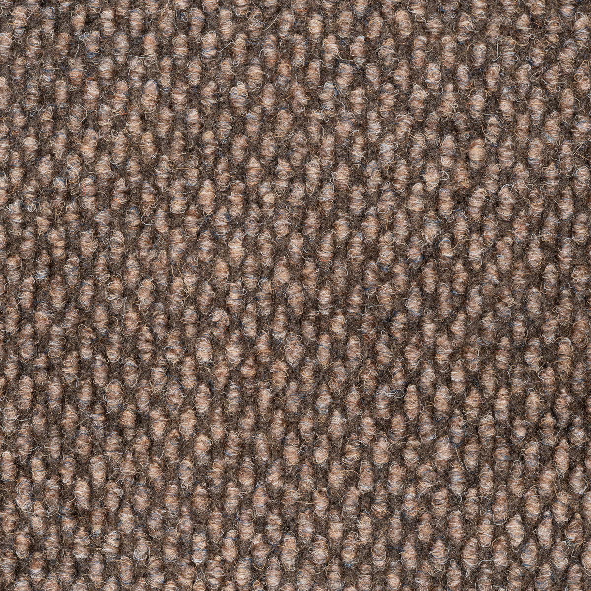 TEPPICHFLIESE 50/50 cm in Hellbraun  - Hellbraun, Basics, Textil (50/50cm)