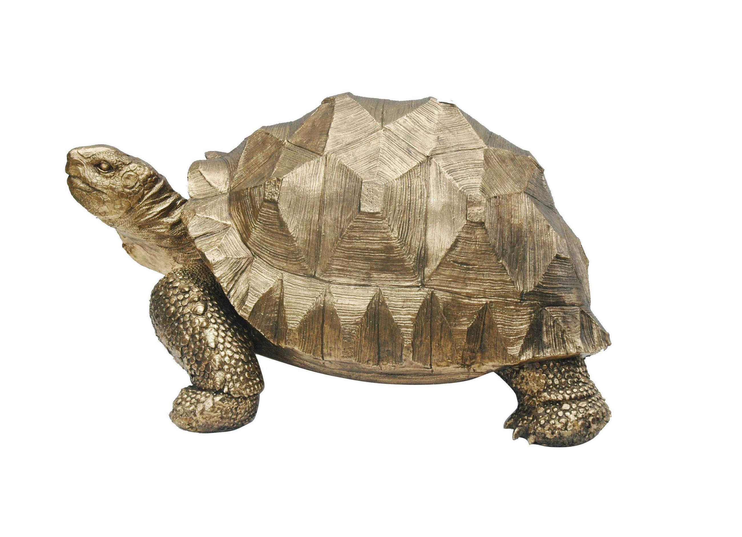 DEKOSCHILDKRÖTE - Goldfarben, Basics, Kunststoff (58/41/32cm)