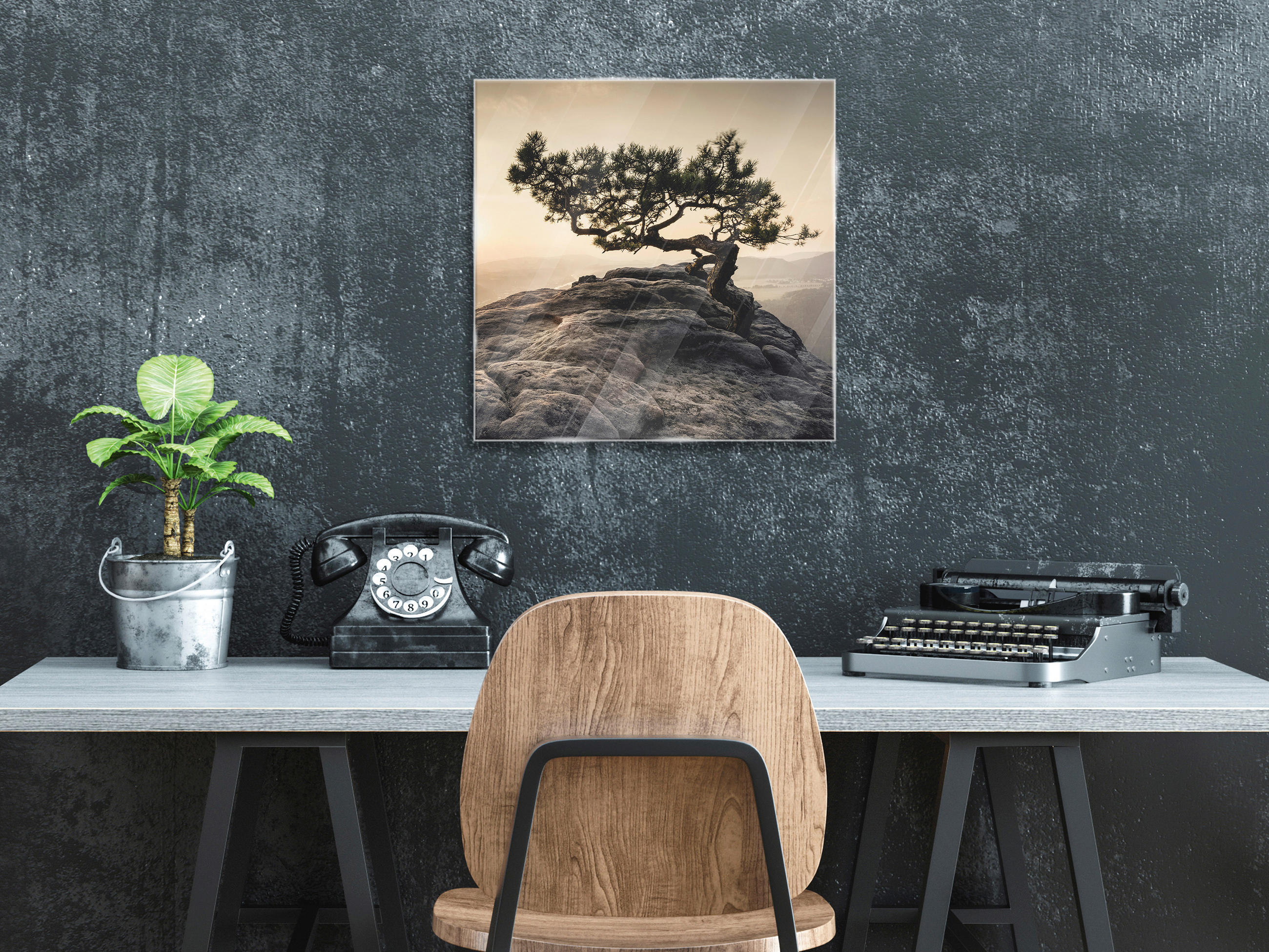 GLASBILD Landschaft & Natur  - Sandfarben, Natur, Glas (50/50/1,40cm) - Euroart
