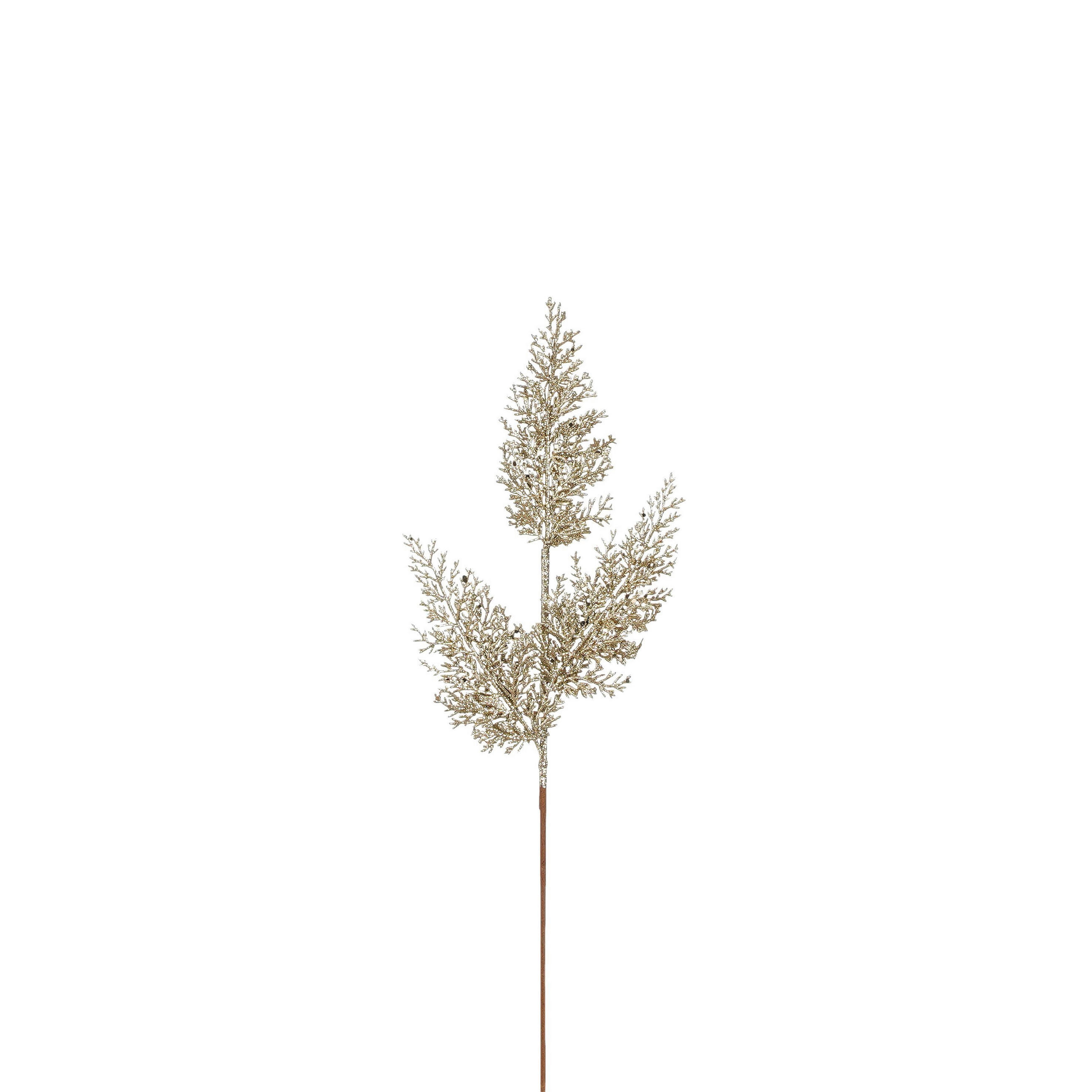 UKRASNA GRANA - šampanjac, Osnovno (53/16/2cm)