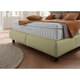 BOXSPRINGBETT 180/200 cm  in Hellgrün, Greige  - Greige/Schwarz, Design, Textil/Metall (180/200cm) - Johann Jakob
