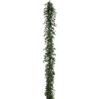 KUNSTPFLANZE Eukalyptus  - Grau/Grün, Basics, Kunststoff (180cm) - P & B
