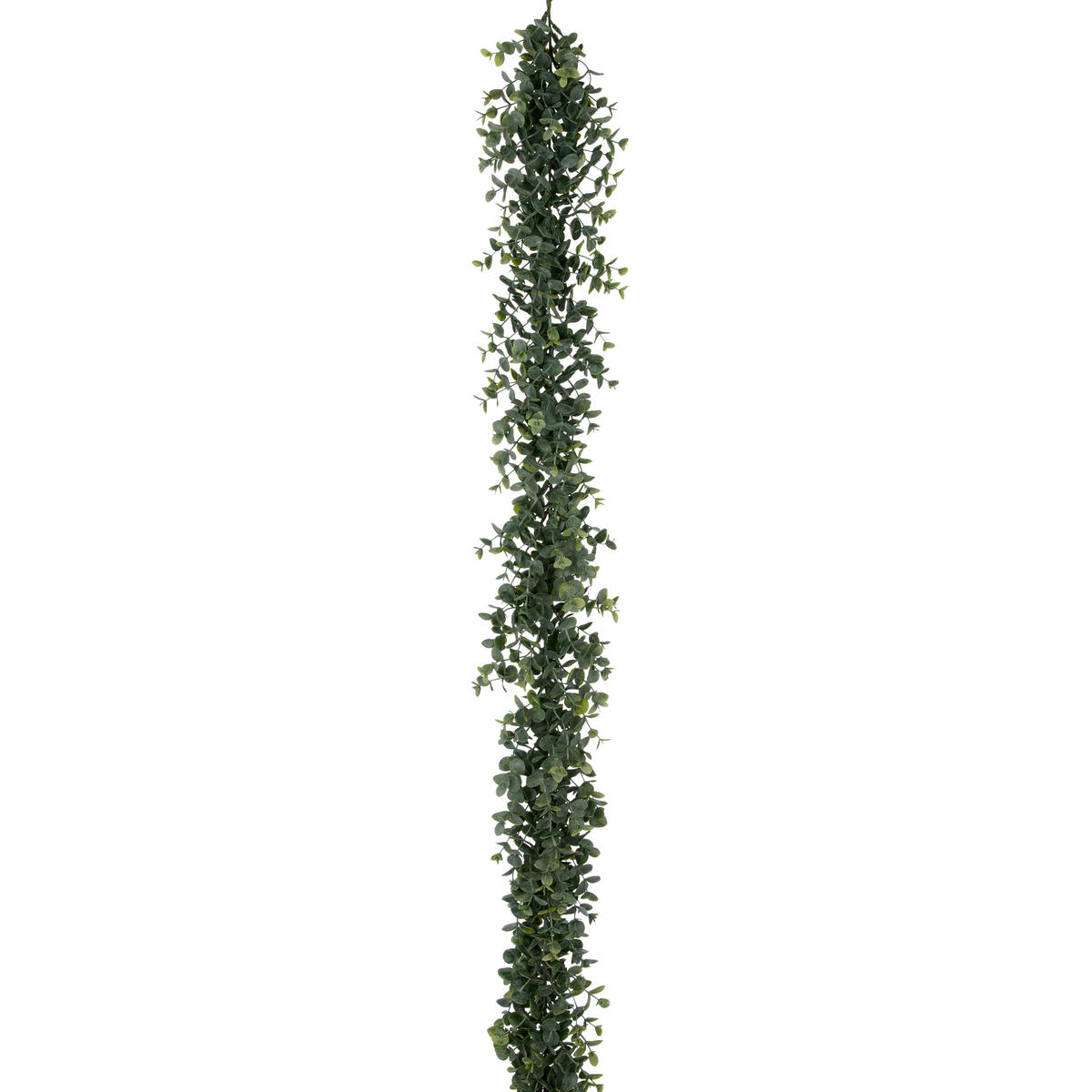 KUNSTPFLANZE Eukalyptus  - Grau/Grün, Basics, Kunststoff (180cm) - P & B