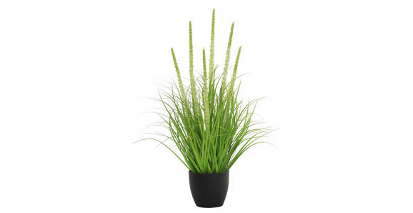 DEKOGRAS - Grün, Basics, Kunststoff/Metall (70cm) - Ambia Home