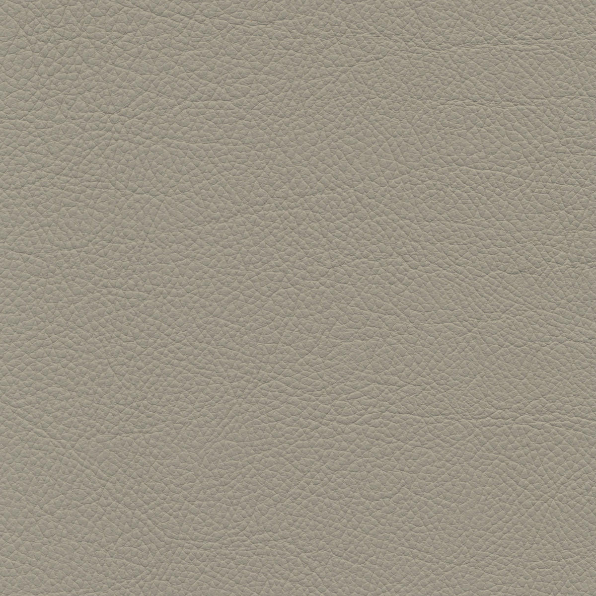 2,5-SITZER in Leder Cappuccino  - Schwarz/Cappuccino, Design, Leder/Metall (195/90/109cm)