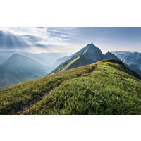 VLIESTAPETE  - Natur (400/250cm) - Komar