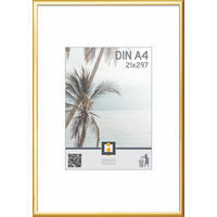 RÁM NA OBRAZY, 1 foto 21 cm x 29,7 cm - barvy zlata, Basics, plast/sklo (21/30cm)