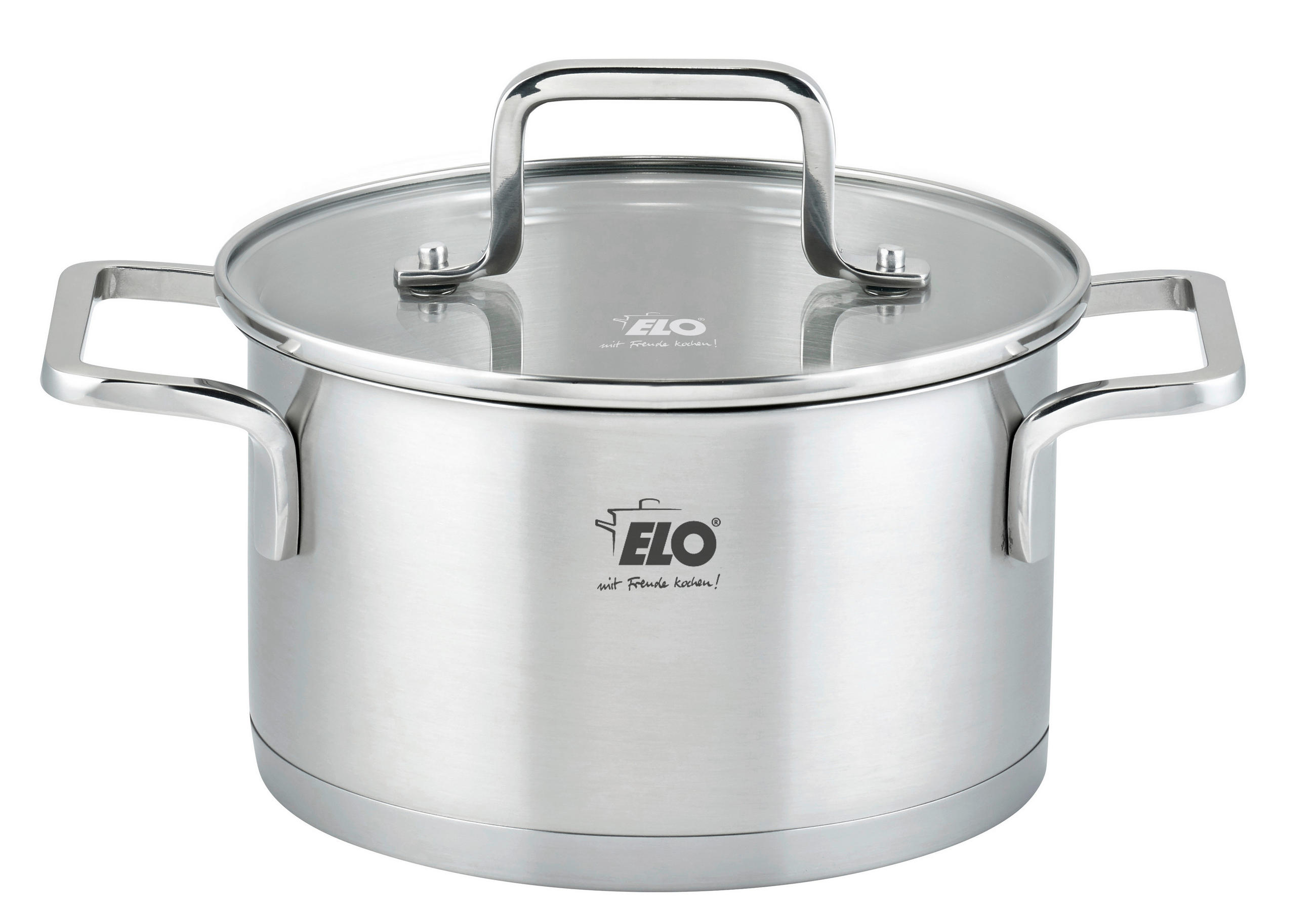 FLEISCHTOPF Topas 3,4 L  - Transparent/Silberfarben, Basics, Glas/Metall (20cm) - ELO