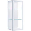 HÄNGEVITRINE in Weiß   - Weiß, Design, Glas/Holzwerkstoff (35/90/35cm) - MID.YOU