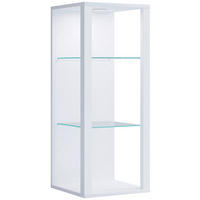 HÄNGEVITRINE in Weiß  - Weiß, Design, Glas/Holzwerkstoff (35/90/35cm) - MID.YOU