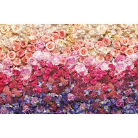 VLIESTAPETE 2,6 m  - Multicolor, Basics (400/260cm) - Xora