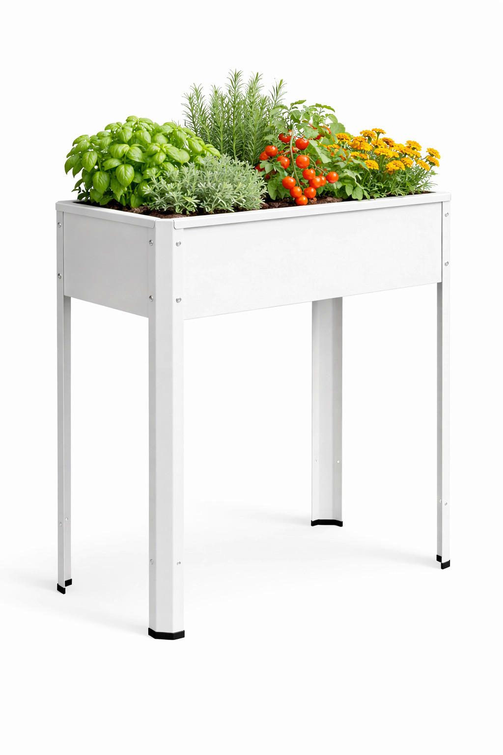 HOCHBEET - Weiss, Modern, Metall (80/80/35cm)