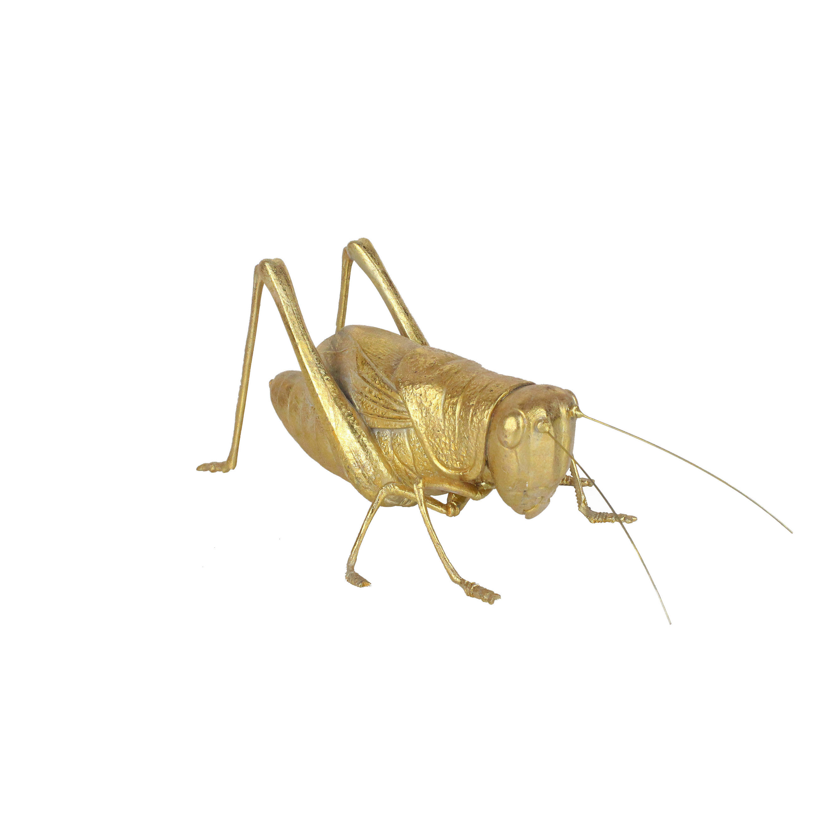DEKOTIER - Goldfarben, LIFESTYLE, Kunststoff/Metall (26,5/14/11cm) - Ambia Home