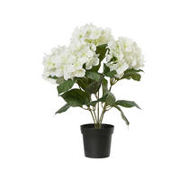 UKRASNA BILJKA - Osnovno (28/28/46cm)