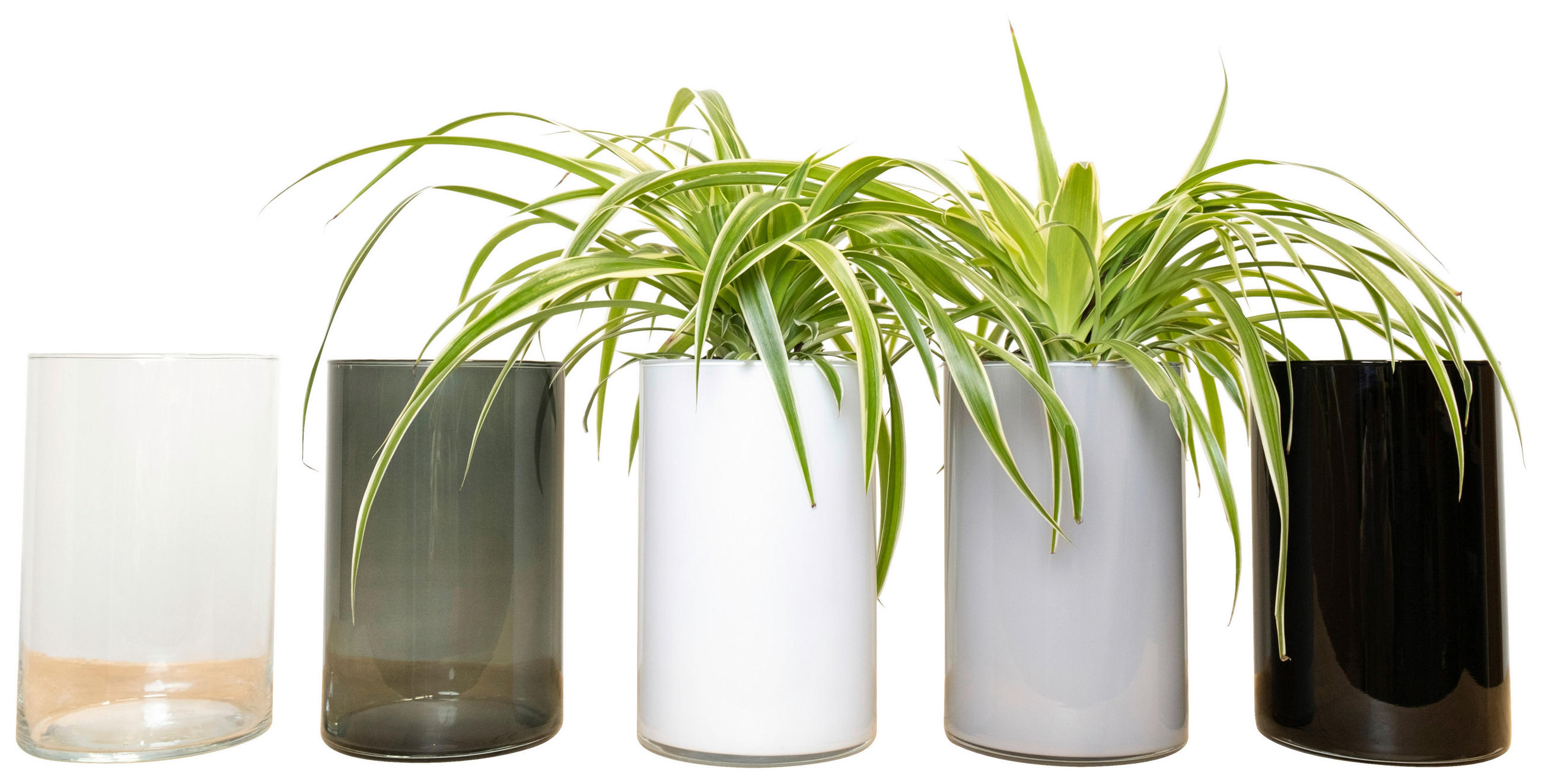 VASE  - Basics, Glas (61/82/115cm)