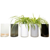 VASE  - Basics, Glas (61/82/115cm)