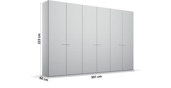 DREHTÜRENSCHRANK  in Hellgrau  - Hellgrau, Trend, Glas/Holzwerkstoff (301/223/60cm) - Novel