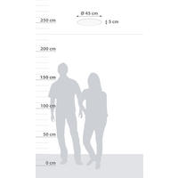 LED-PANEEL 45/5 cm   - Weiß, MODERN, Kunststoff/Metall (45/5cm)