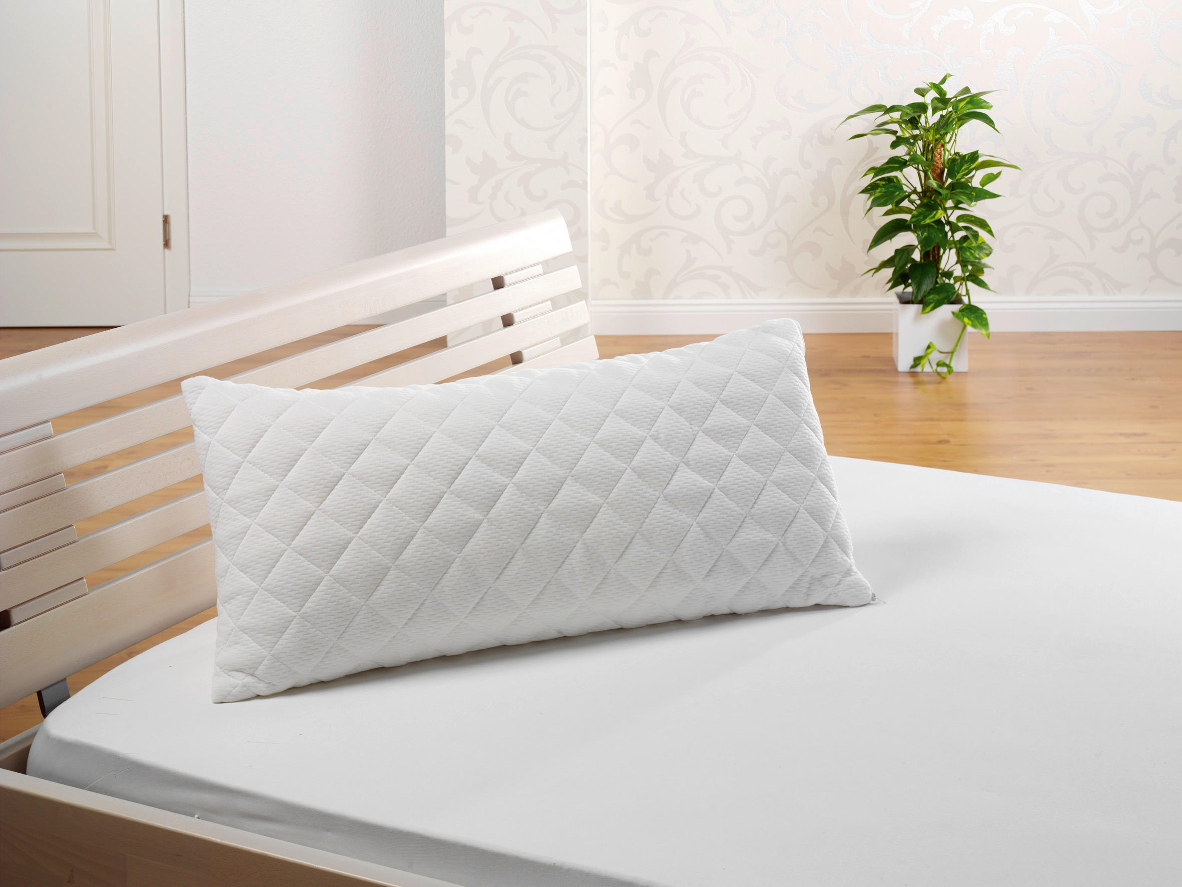 NACKENSTÜTZKISSEN  40/80 cm  - Basics, Textil (40/80cm) - FAN