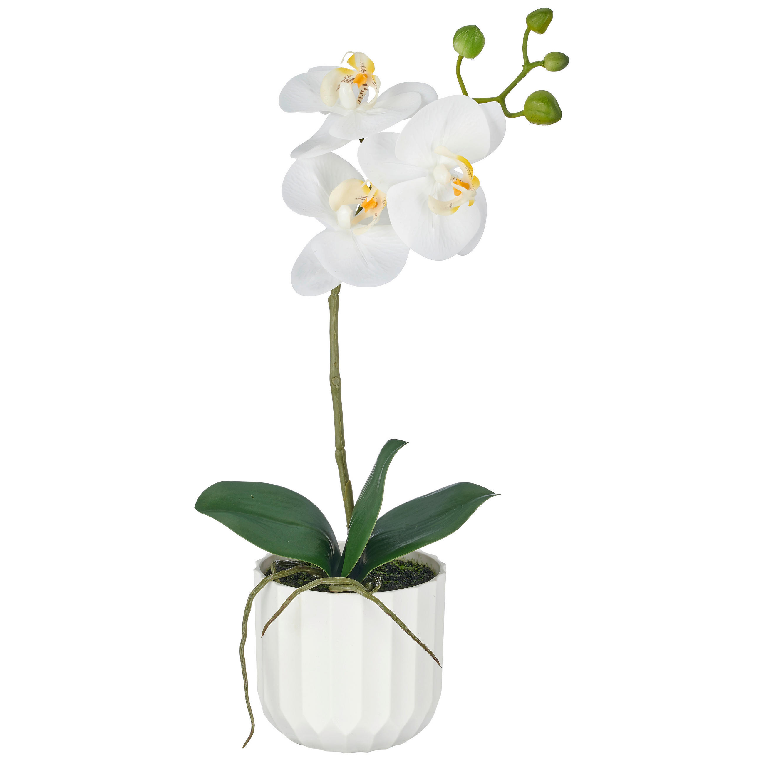 KUNSTBLUME - Weiß/Grün, Basics, Kunststoff (38cm)