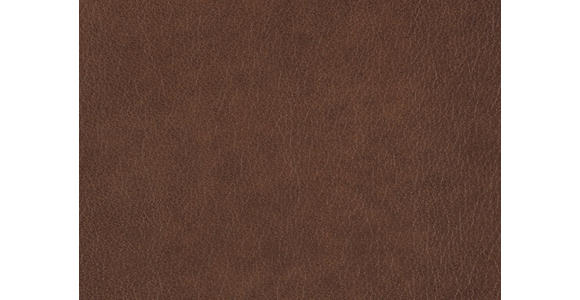 ECKSOFA in Echtleder Braun 309/233 cm - Edelstahlfarben/Braun, Design, Leder/Metall (309/233cm) - Dieter Knoll