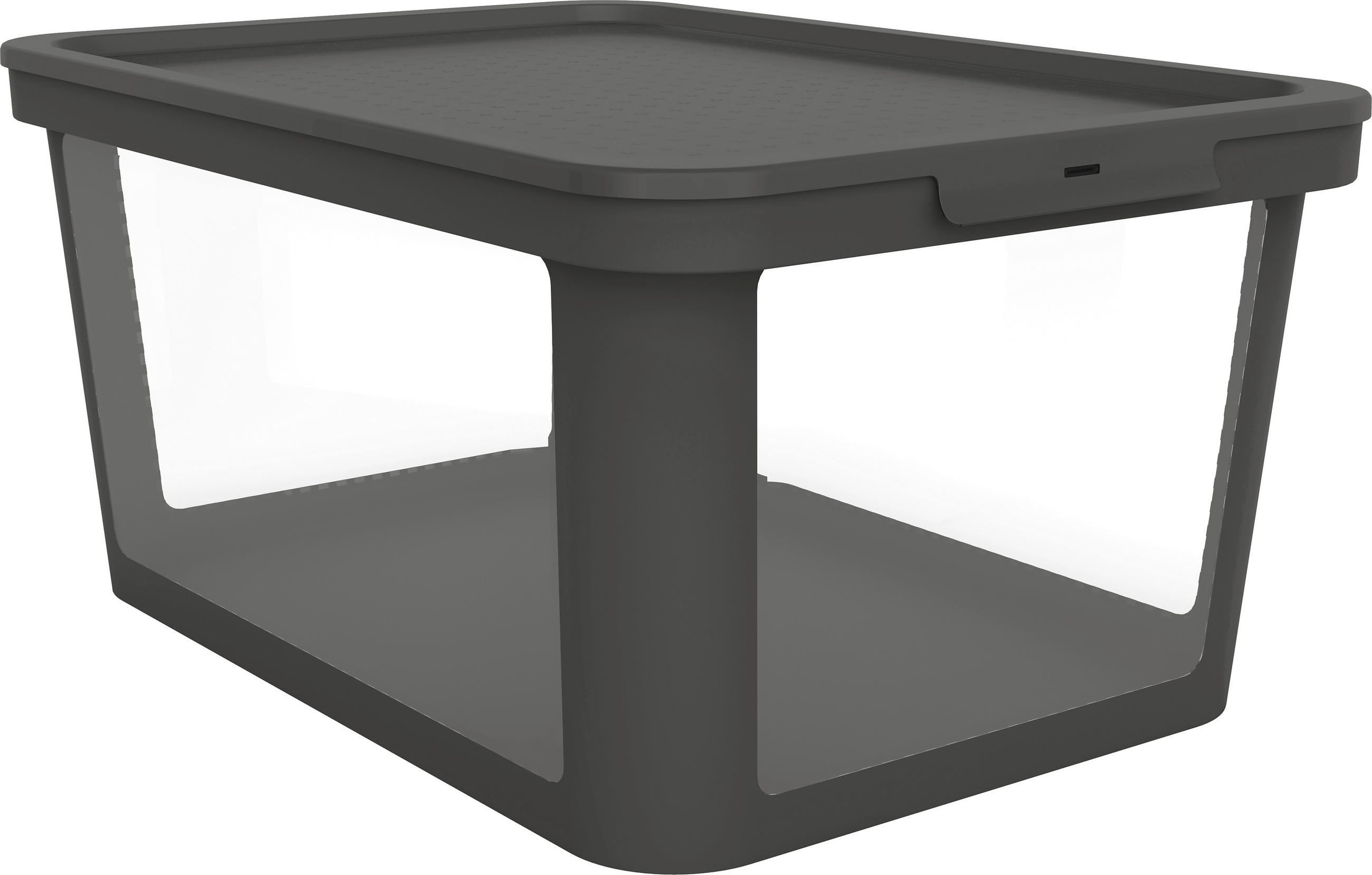 BOX MIT DECKEL Albris  - Schwarz, KONVENTIONELL, Kunststoff (57/39,2/27cm) - Rotho