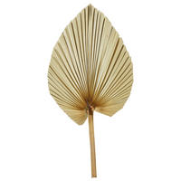 TROCKENBLUME - Naturfarben, Basics (48cm)