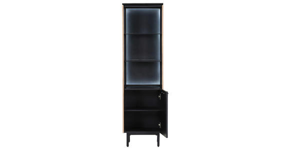 REGAL Eichefarben, Schwarz - Eichefarben/Schwarz, Trend, Holzwerkstoff/Metall (45/160/43cm) - Carryhome