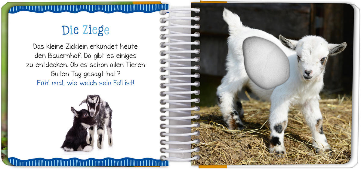 BILDERBUCH - Basics (16,6/19/4,0cm)