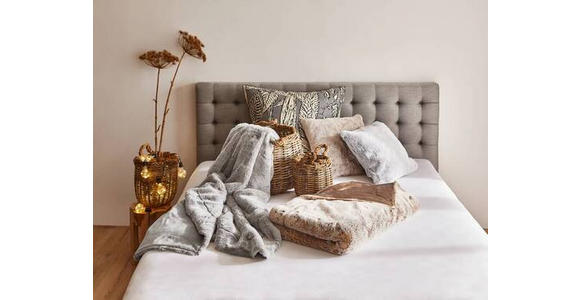 FELLDECKE SILBERFUCHS 150/200 cm - Silberfarben, KONVENTIONELL, Textil/Fell (150/200cm) - Novel