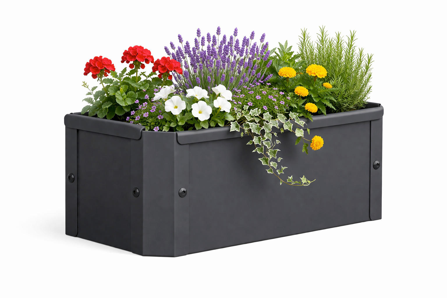 HOCHBEET - Schwarz, Modern, Metall (39/16/18cm)